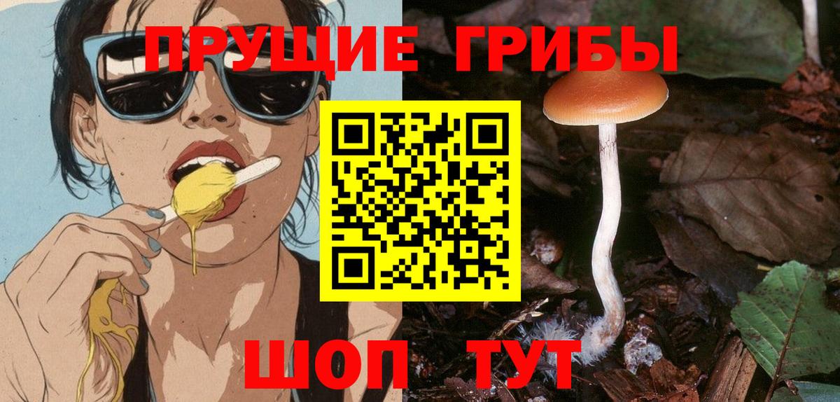 Галлюциногенные грибы MAGIC MUSHROOMS  Вход с VPN  Дербент  Галлюциногенные грибы Psilocybine cubensis 