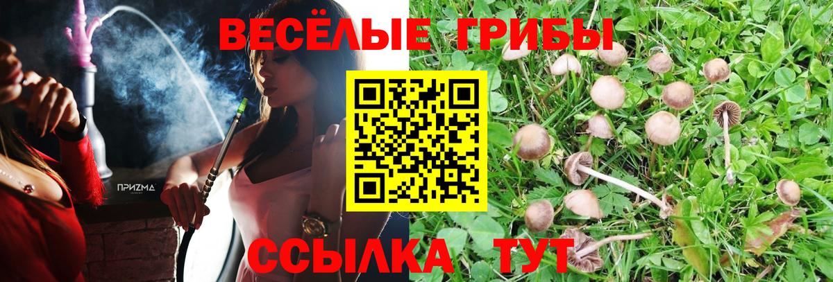 Псилоцибиновые грибы мухоморы Дербент